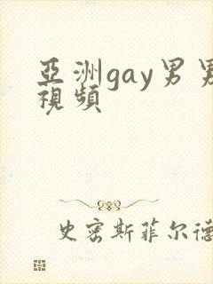 亚洲gay男男视频
