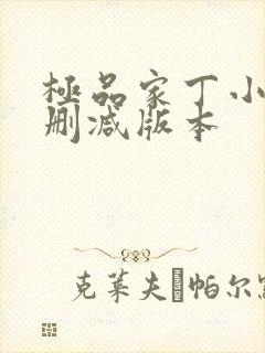 极品家丁小说无删减版本