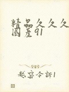 精品久久久久久国产91