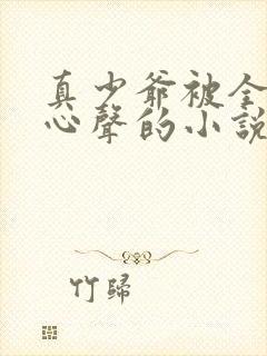 真少爷被全家听心声的小说