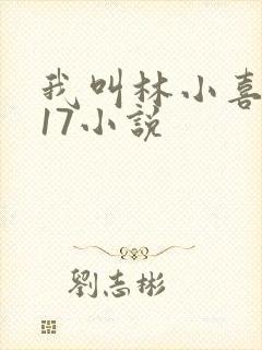 我叫林小喜今年17小说