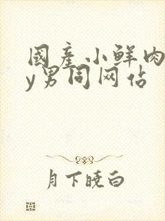 国产小鲜肉gay男同网站