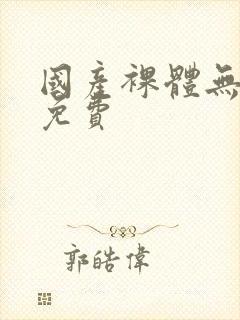 国产裸体无遮挡免费