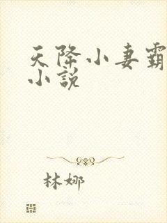 天降小妻霸道宠小说