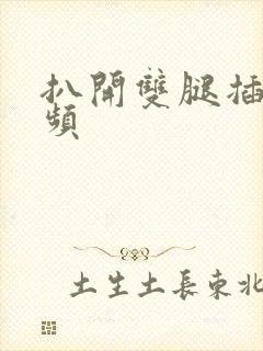 扒开双腿插入视频