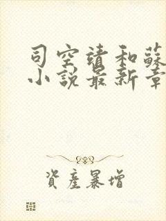 司空靖和苏月汐小说最新章节