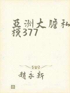 亚洲大胆私拍国模377