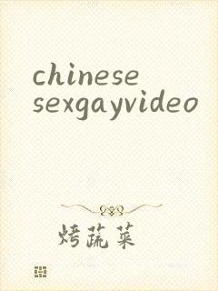 chinesesexgayvideo封面