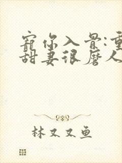 宠你入骨:重生甜妻很磨人