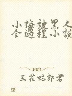 小梅被黑人调教全过程小说