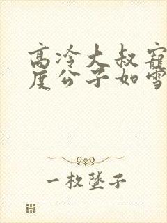 高冷大叔宠妻无度公子如雪