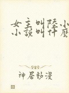 女主叫陆小小的小说叫什么名字