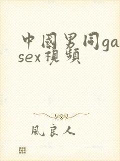中国男同gaysex视频