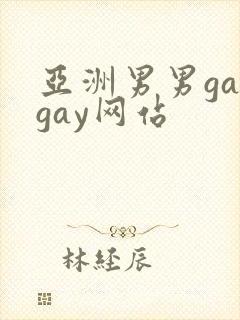亚洲男男gaygay网站