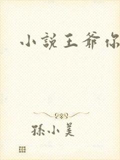 小说王爷你好贱封面