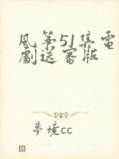 风筝51集电视剧送审版