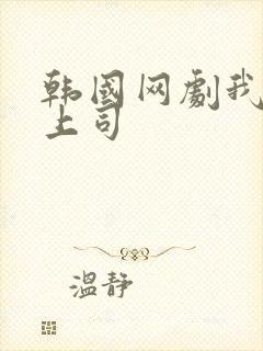 韩国网剧我的女上司