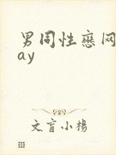 男同性恋网站gay封面