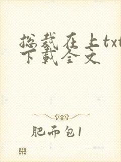 总裁在上txt下载全文