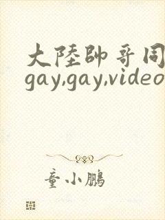 大陆帅哥同性恋gay,gay,videos封面