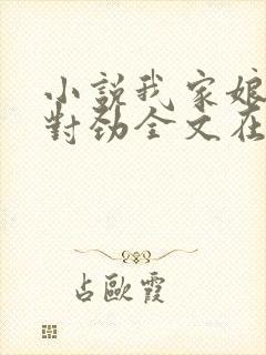 小说我家娘子不对劲全文在线阅读