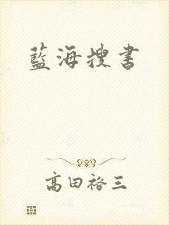 蓝海搜书封面