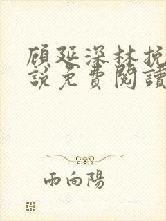 顾延深林挽音小说免费阅读最新章节