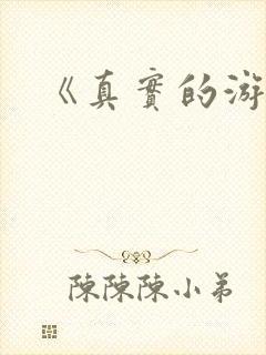 《真实的游戏》封面