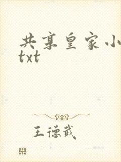共享皇家小公主txt