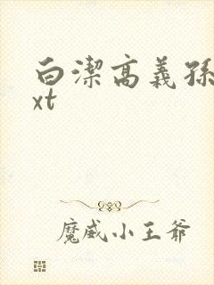 白洁高义孙倩txt封面