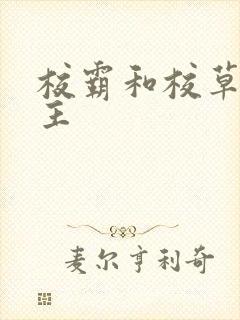 校霸和校草双男主