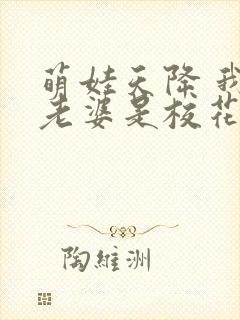 萌娃天降 我的老婆是校花短剧