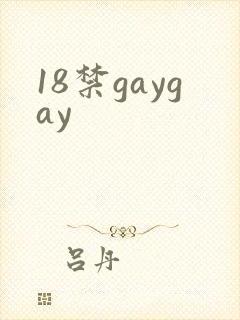 18禁gaygay