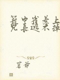 笼中雀惹上偏执兄长逃不掉txt下载