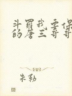 斗罗我要保护我的唐三哥哥免费阅读小说