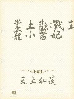 掌上欢:战王盛宠小医妃