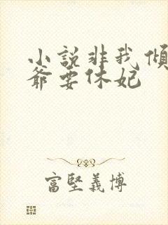 小说非我倾城王爷要休妃