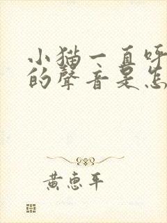 小猫一直呼呼呼的声音是怎么回事封面