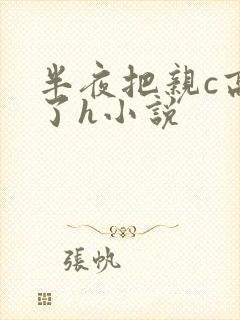 半夜把亲c高潮了h小说