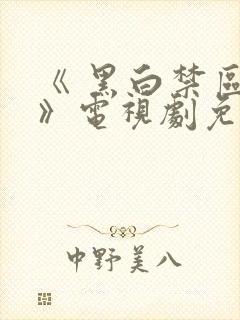 《 黑白禁区 》电视剧免费看