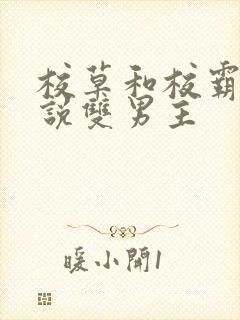 校草和校霸的小说双男主