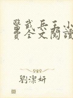 医武兵王小说免费全文阅读一封面