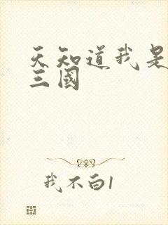 天知道我是文和三国封面