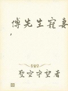 傅先生宠妻无度,