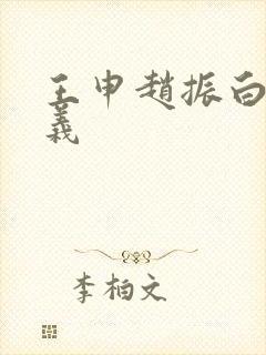 王申赵振白洁高义