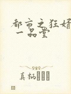 都市之狂婿战神 一品堂
