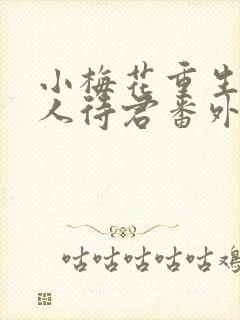 小梅花重生之美人待君番外11封面