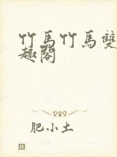 竹马竹马双性笔趣阁封面