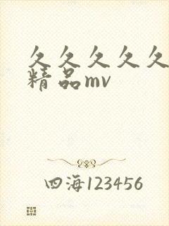 久久久久久国产精品mv