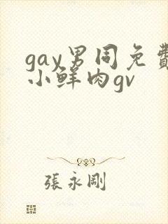 gay男同免费小鲜肉gv